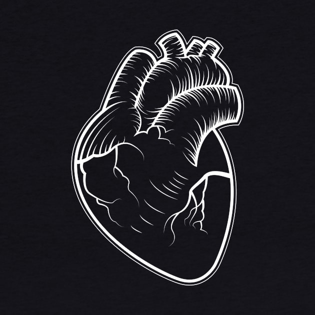 Anatomical Heart by AlchemyStudio